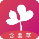 午夜播放器软件