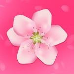 98色花堂(最新地址入口)app
