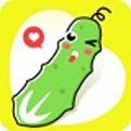 榴莲视频色板app网站进入最新版