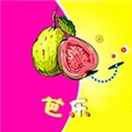 姐姐tv直播apk下载入口
