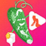 丝瓜视频直播手机版