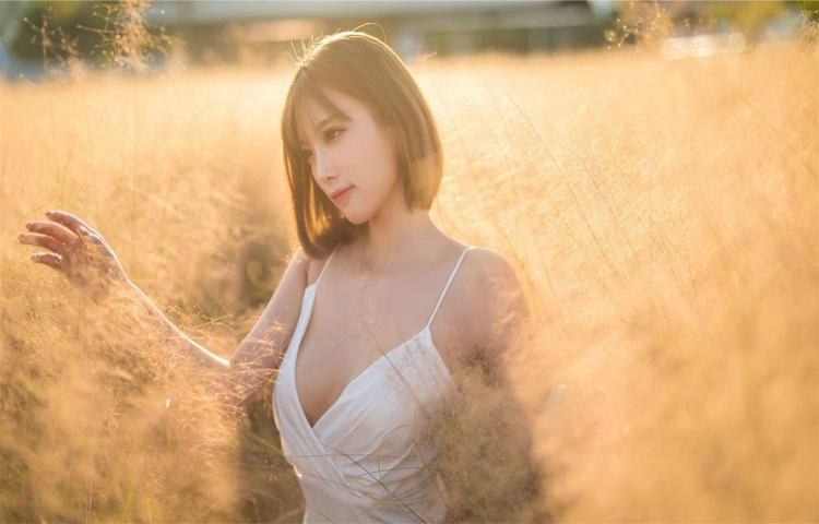 文化多样性与审美
